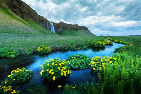 Iceland in the summer. Things To Know About Iceland in the summer. 